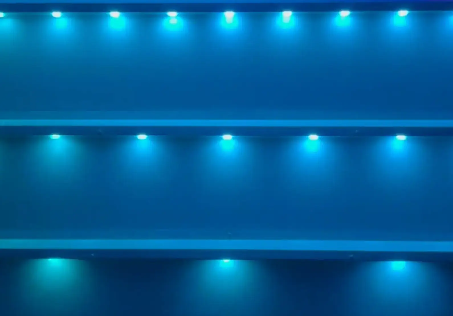 permanent-outdoor-lights-az-2-light-blue-jellyfish-lighting